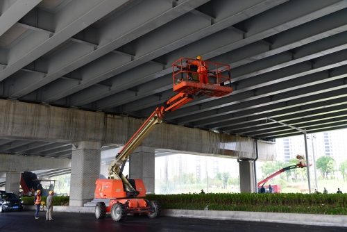 ���Ź����217��(�й���)����