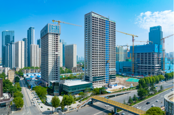 ���Ź����217��(�й���)����