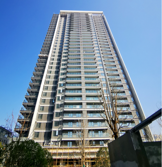 ���Ź����217��(�й���)����