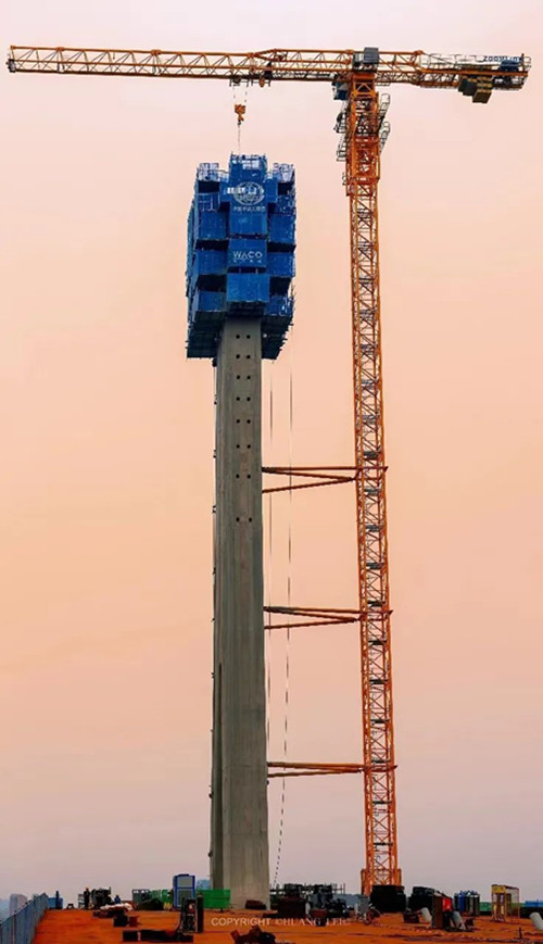 ���Ź����217��(�й���)����