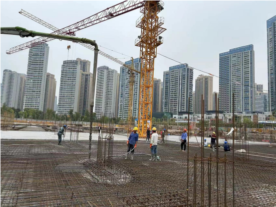 ���Ź����217��(�й���)����