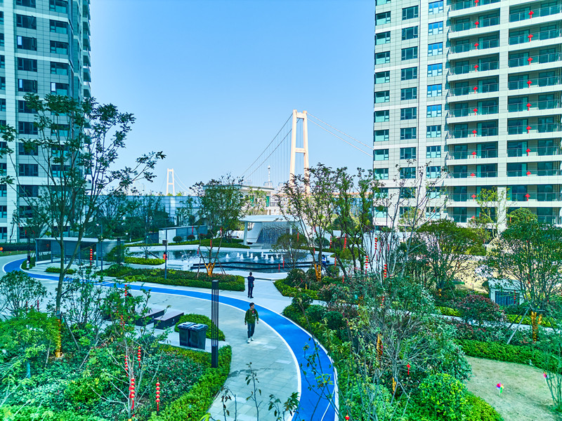 ���Ź����217��(�й���)����