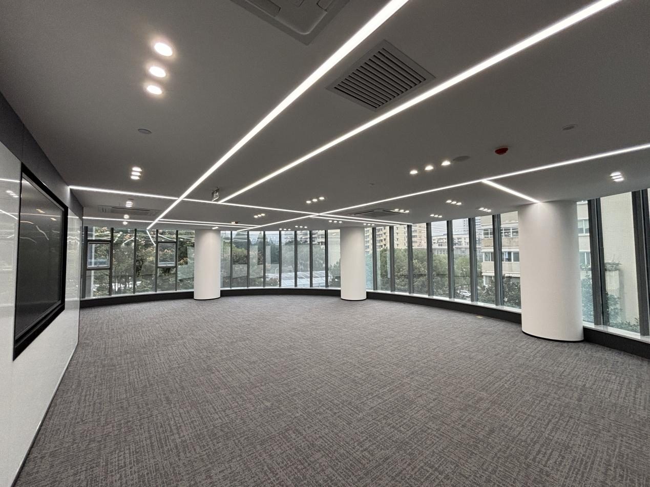 ���Ź����217��(�й���)����