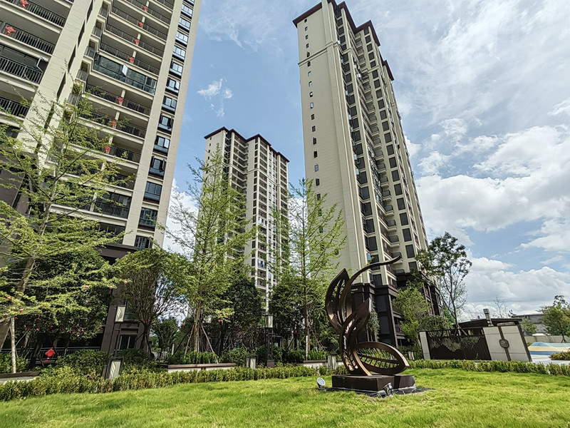 ���Ź����217��(�й���)����