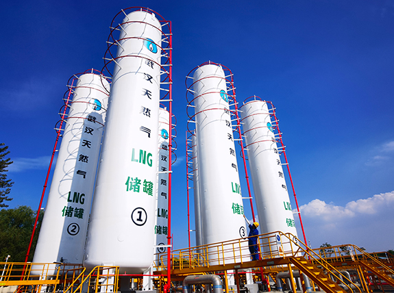 ���Ź����217��(�й���)����