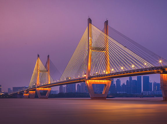 ���Ź����217��(�й���)����