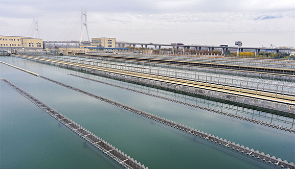 ���Ź����217��(�й���)����