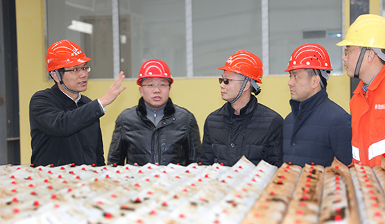 ���Ź����217��(�й���)����