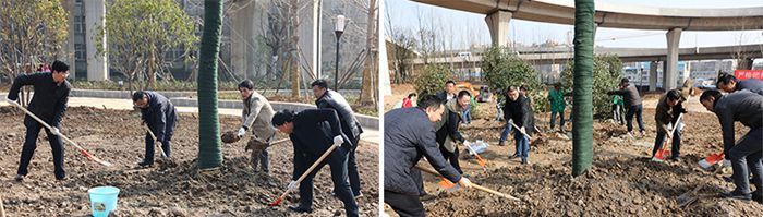 ���Ź����217��(�й���)����