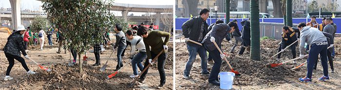 ���Ź����217��(�й���)����