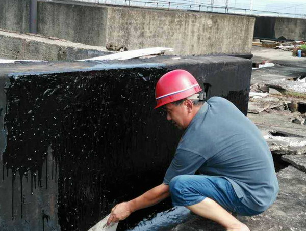 ���Ź����217��(�й���)����