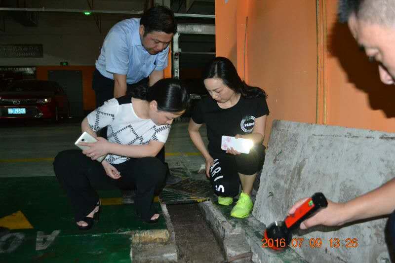 ���Ź����217��(�й���)����