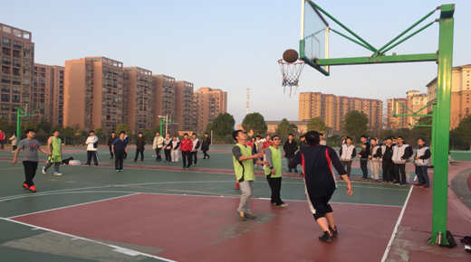 ���Ź����217��(�й���)����