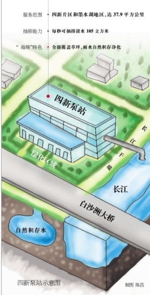 ���Ź����217��(�й���)����