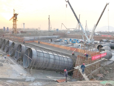 ���Ź����217��(�й���)����