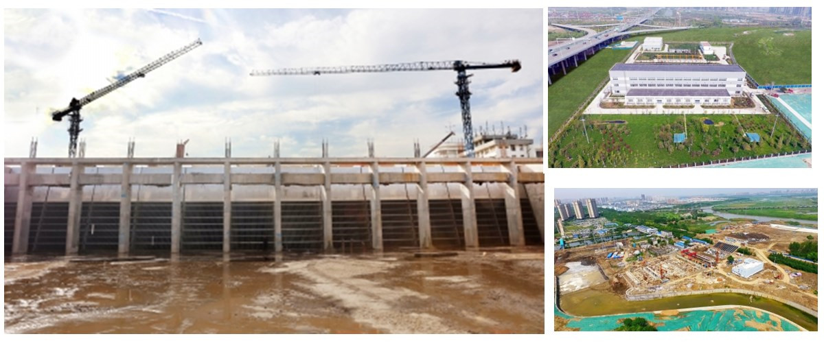 ���Ź����217��(�й���)����