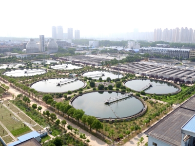 ���Ź����217��(�й���)����