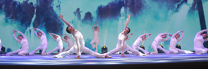 ���Ź����217��(�й���)����