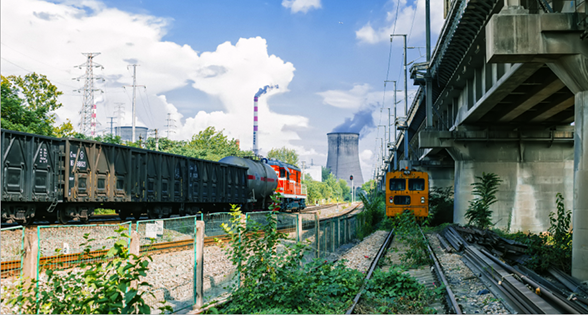 ���Ź����217��(�й���)����