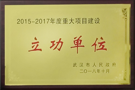���Ź����217��(�й���)����