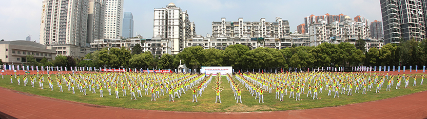 ���Ź����217��(�й���)����