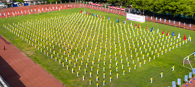 ���Ź����217��(�й���)����