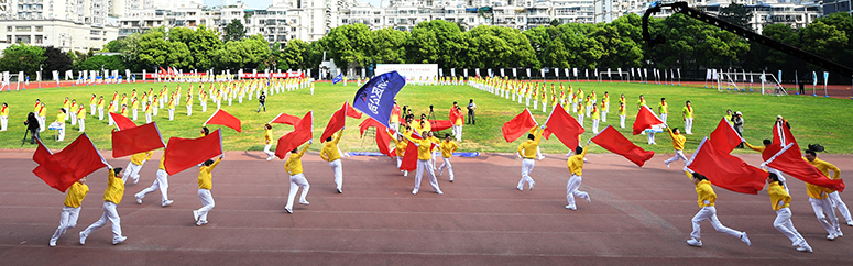 ���Ź����217��(�й���)����