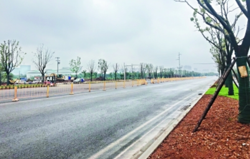 ���Ź����217��(�й���)����