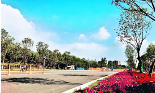 ���Ź����217��(�й���)����