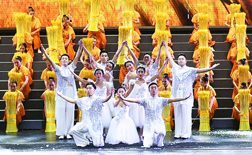 ���Ź����217��(�й���)����