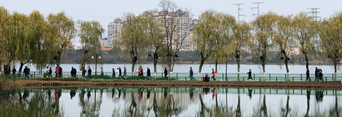 ���Ź����217��(�й���)����