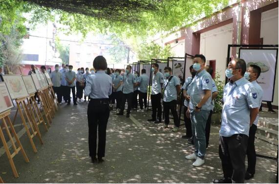 ���Ź����217��(�й���)����