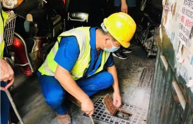 ���Ź����217��(�й���)����